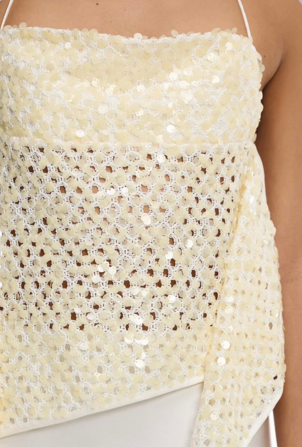 Buttermilk Sheer Sequin Top