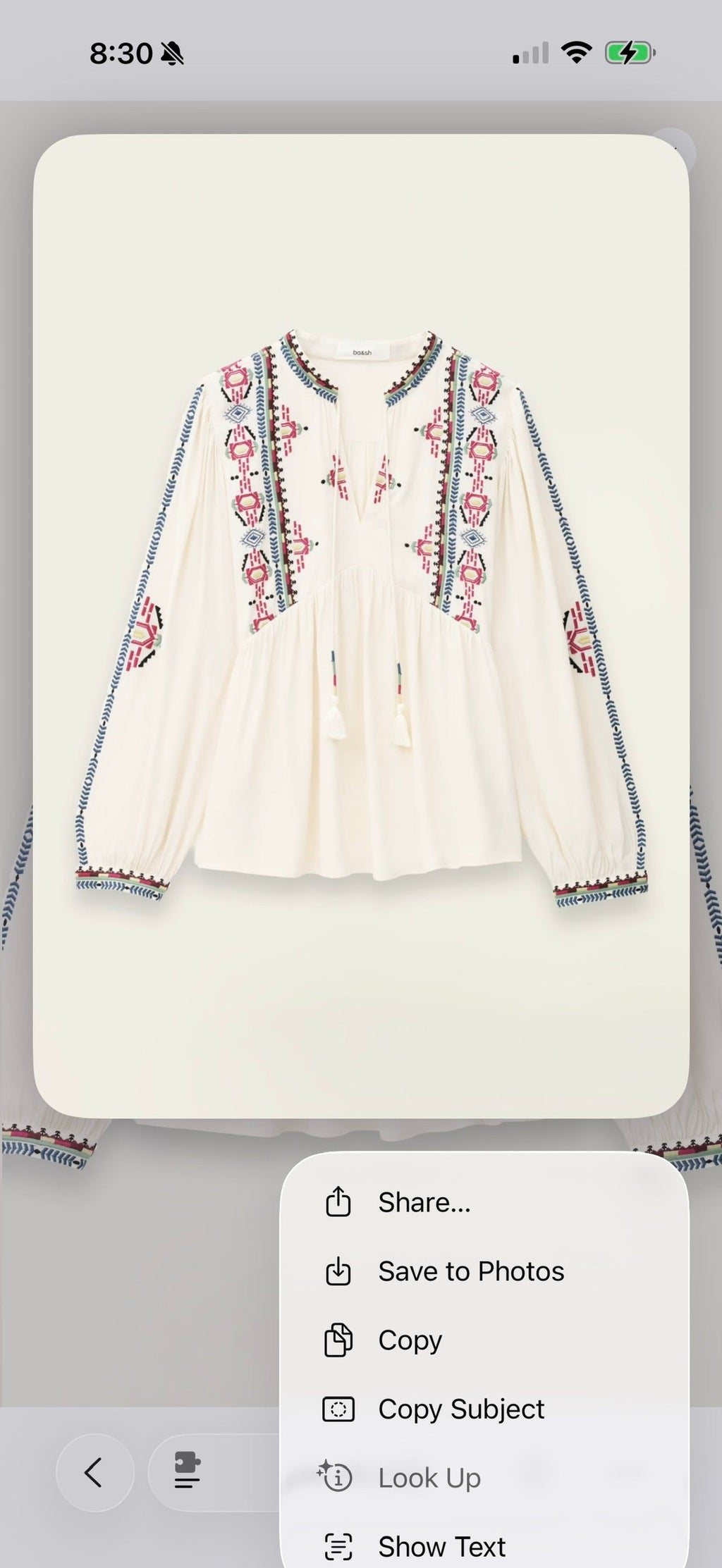 Ecru Embroidered Tie