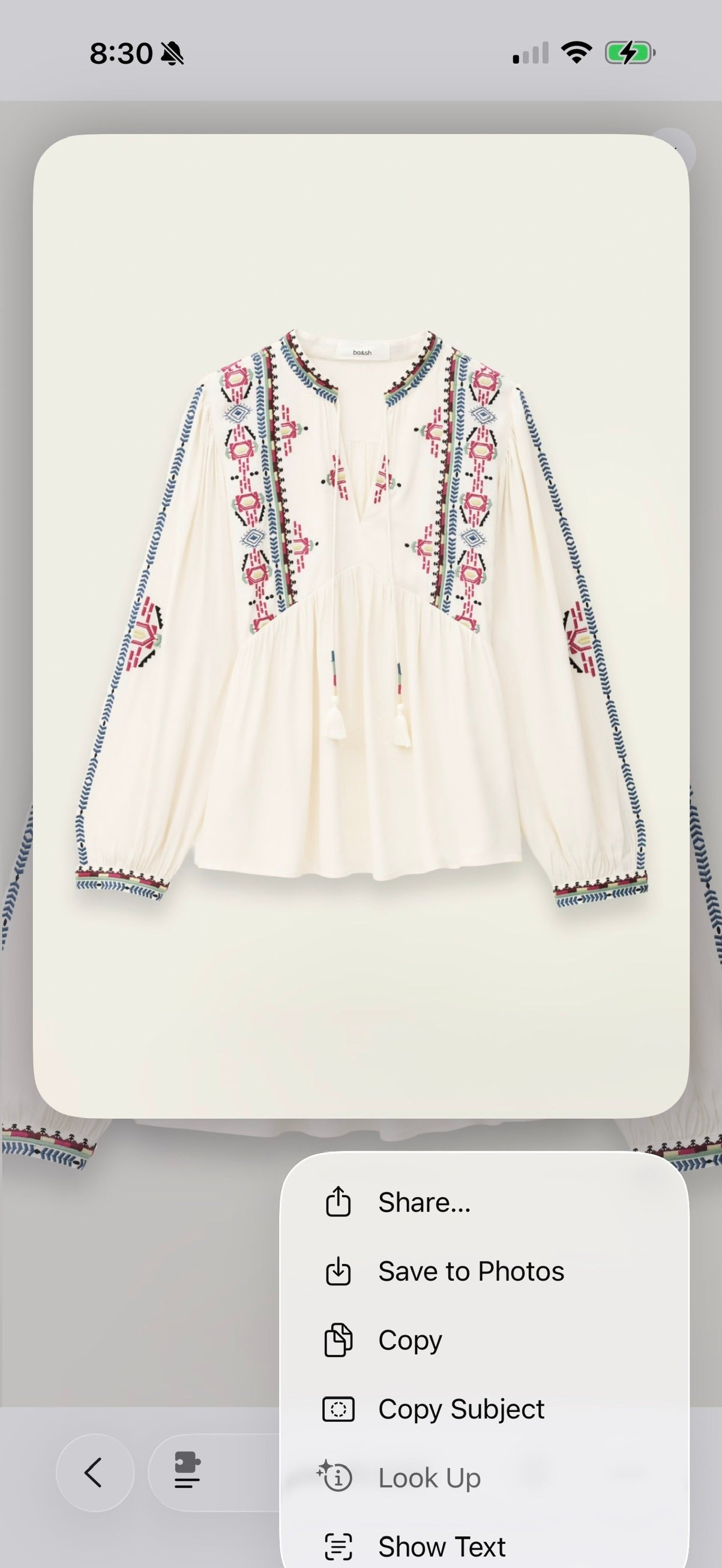 Ecru Embroidered Tie